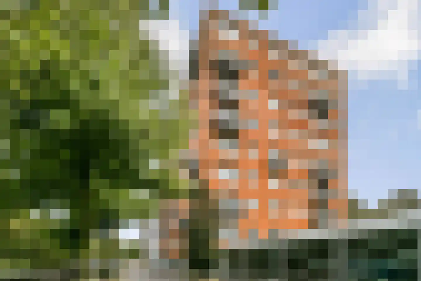 Anna Blamansingel 186 Amsterdam thumbnail 26