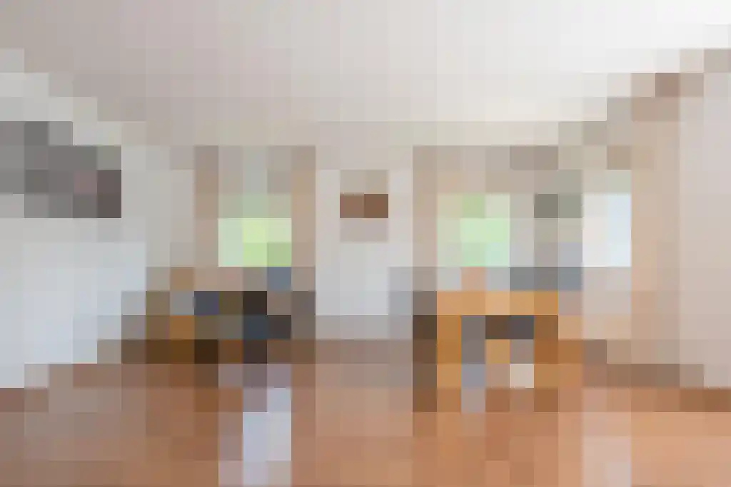 Anna Blamansingel 238 Amsterdam thumbnail 10