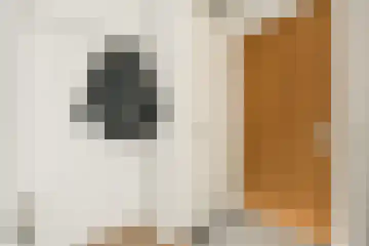 Anna Blamansingel 243 Amsterdam thumbnail 17