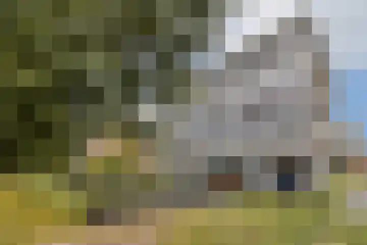 Anna Blamansingel 25 Amsterdam foto 3