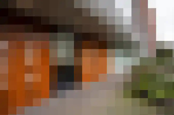 Anna Blamansingel 266 Amsterdam thumbnail 29