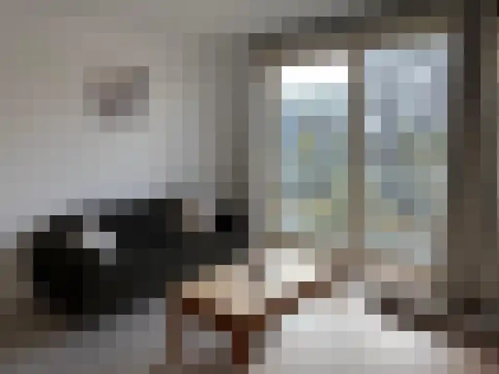 Anna Blamansingel 27 Amsterdam thumbnail 6