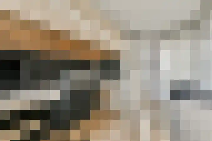 Anna Blamansingel 282 Amsterdam thumbnail 20