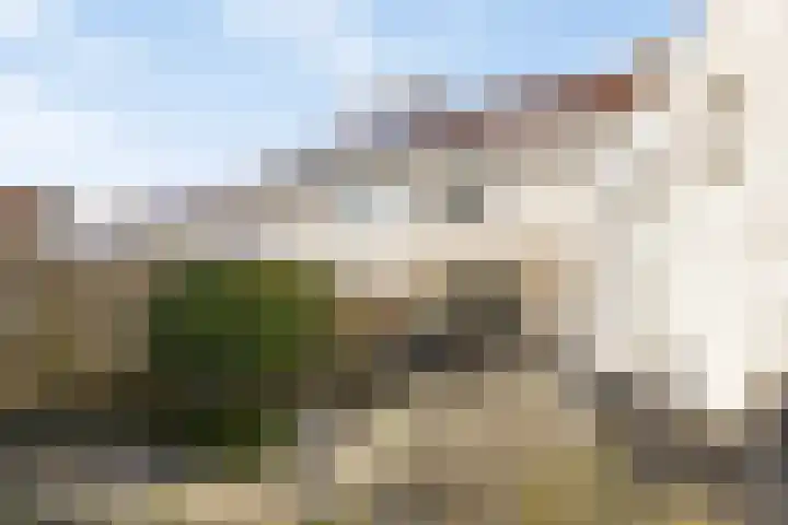 Anna Blamanstraat 12 Schijndel thumbnail 4