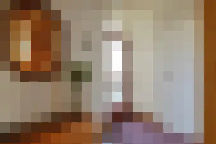 Anna Blamanstraat 12 Schijndel thumbnail 6