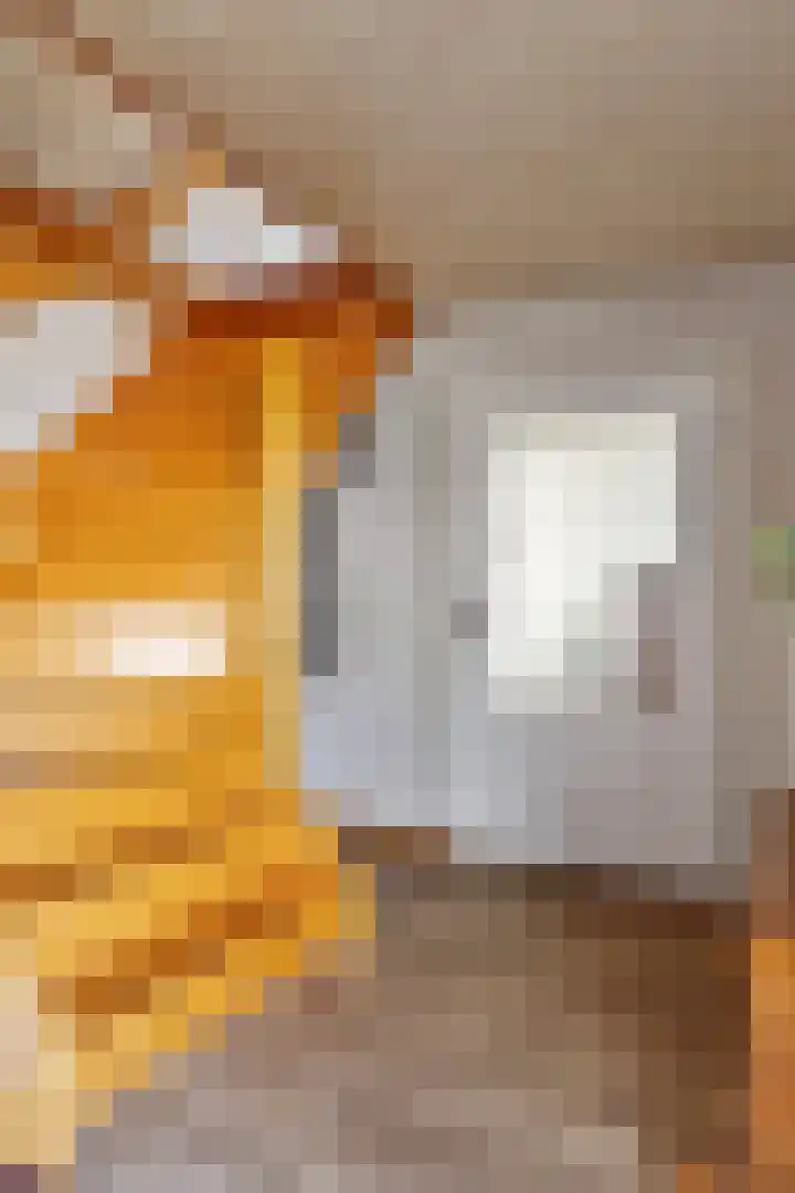 Anna Blamanstraat 12 Schijndel thumbnail 7