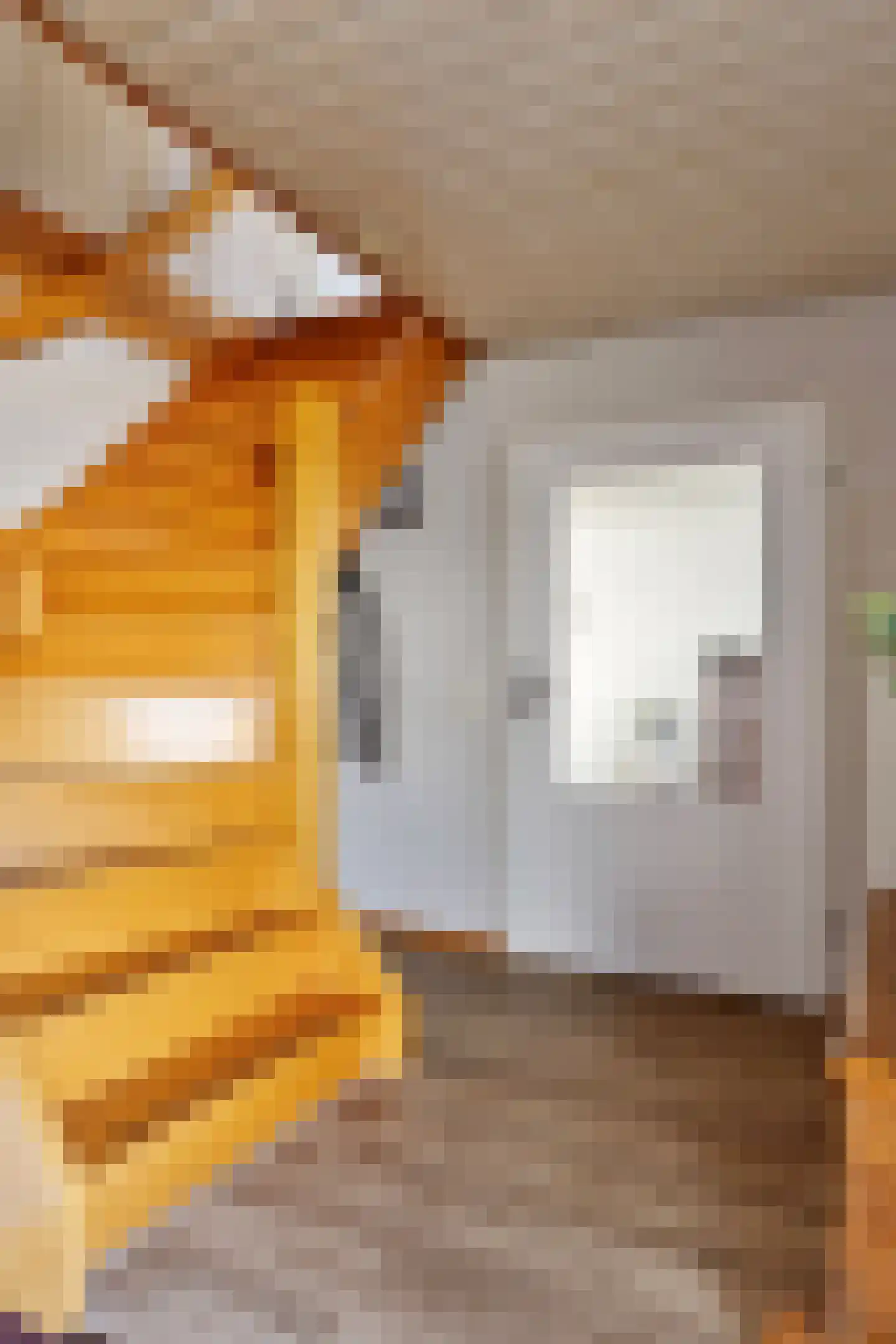 Anna Blamanstraat 12 Schijndel thumbnail 7
