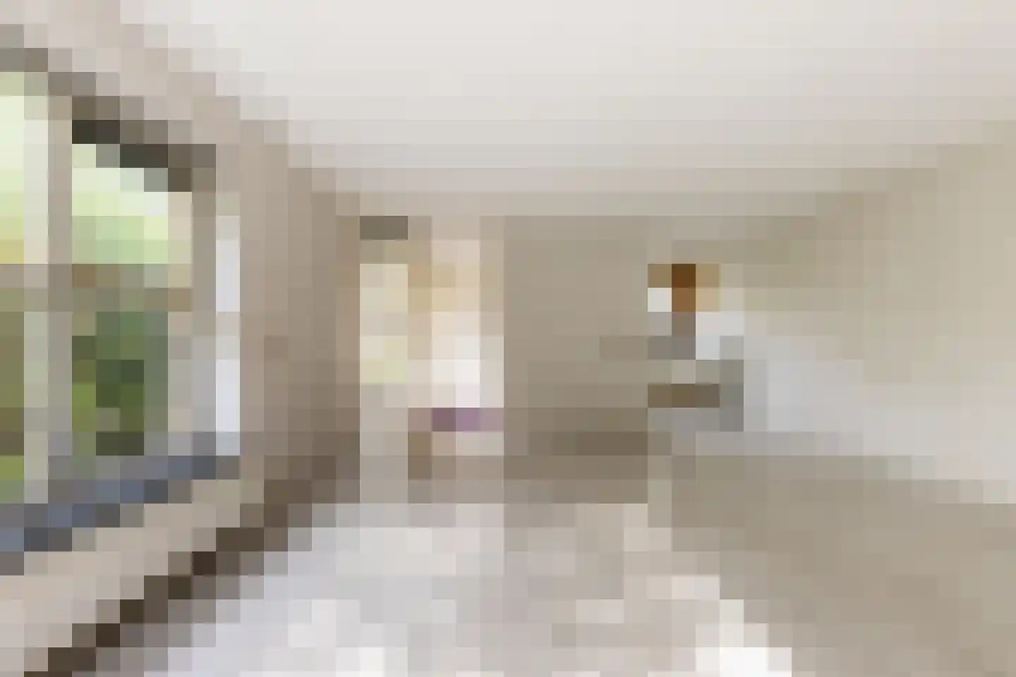 Anna Blamanstraat 139 Hoofddorp thumbnail 11
