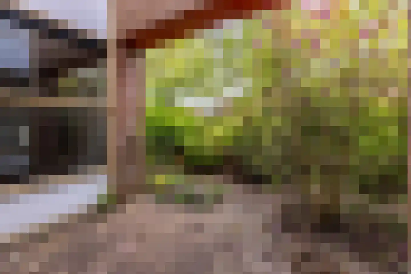 Anna Blamanstraat 139 Hoofddorp thumbnail 30