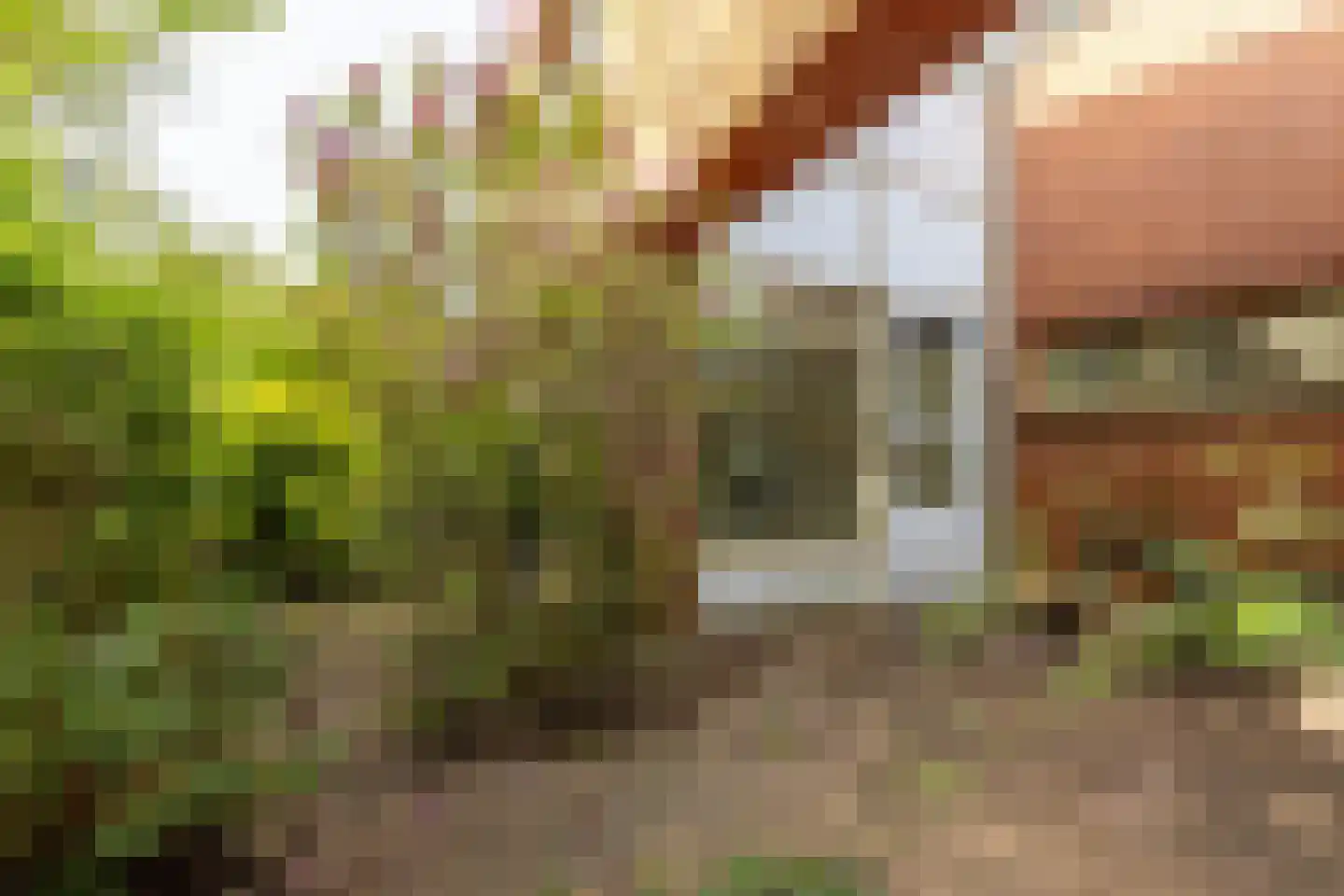 Anna Blamanstraat 139 Hoofddorp thumbnail 31