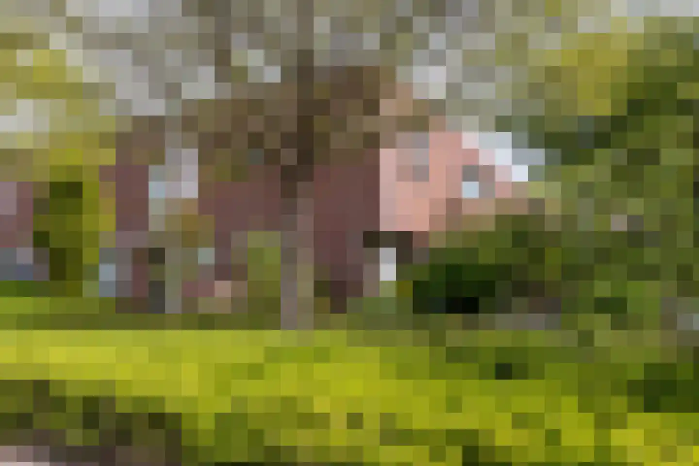 Anna Blamanstraat 139 Hoofddorp thumbnail 33