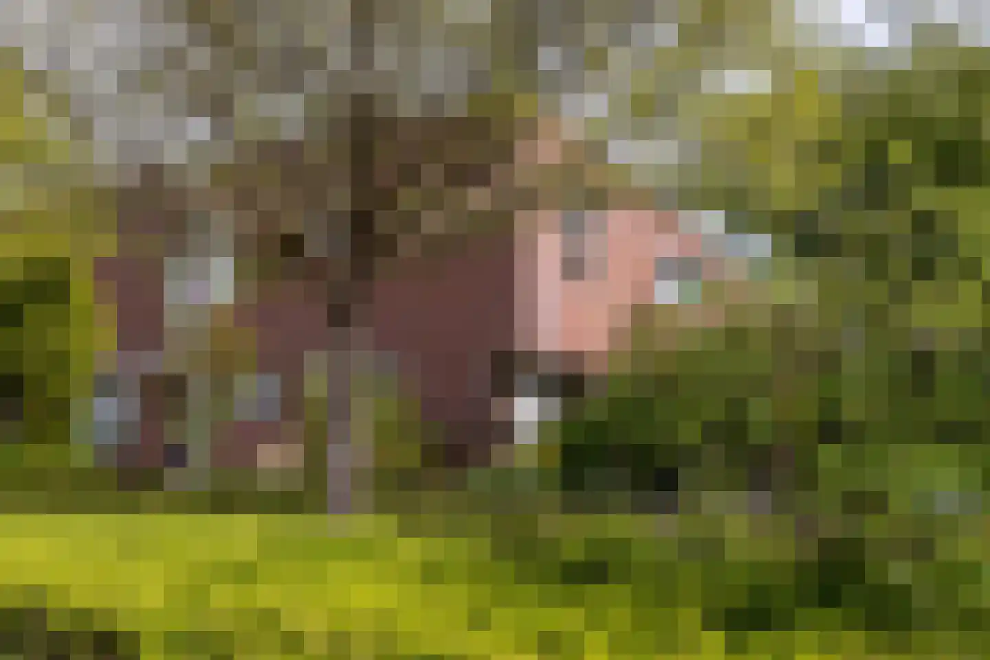 Anna Blamanstraat 139 Hoofddorp thumbnail 34