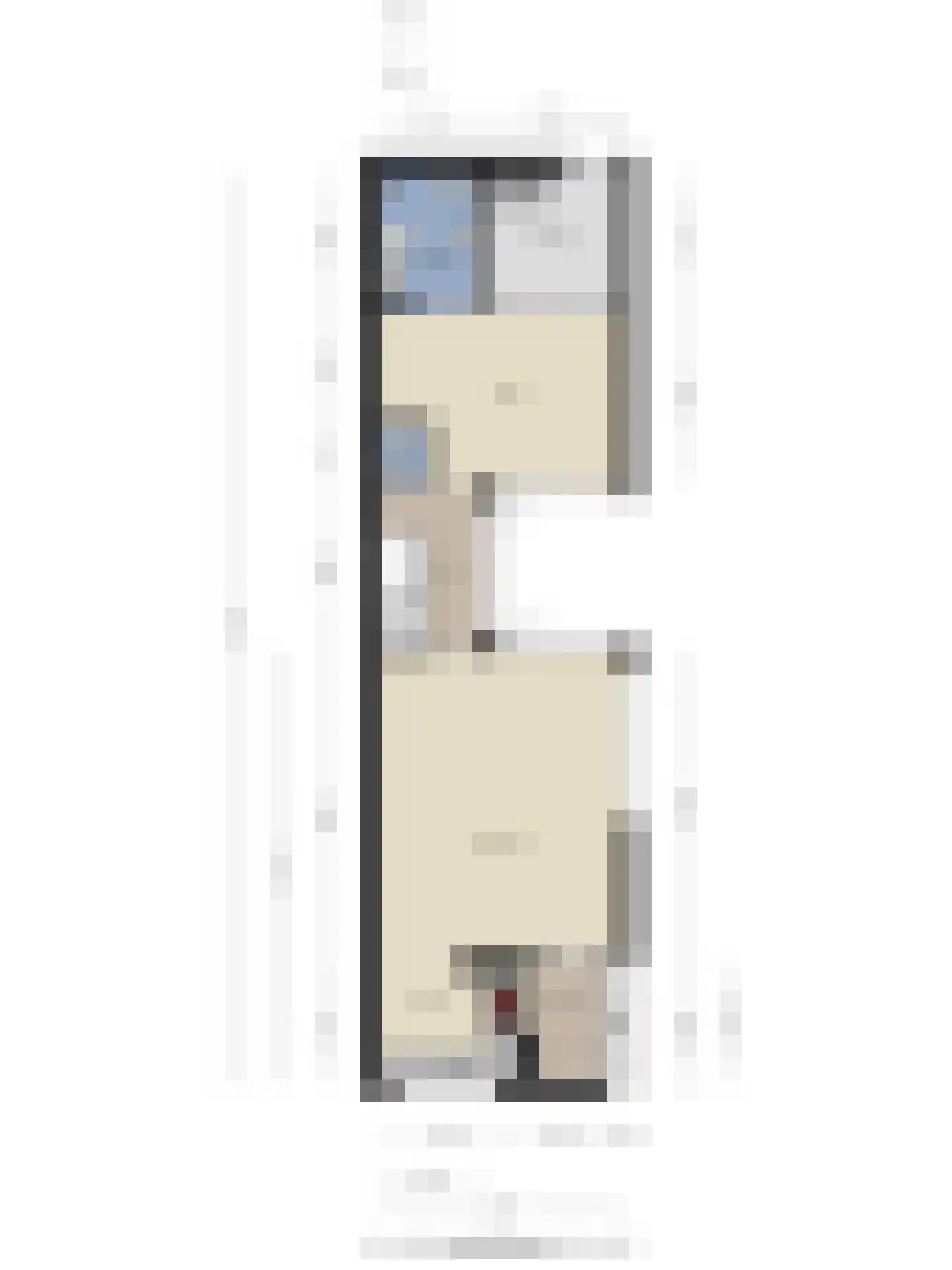 Anna Blamanstraat 139 Hoofddorp thumbnail 42