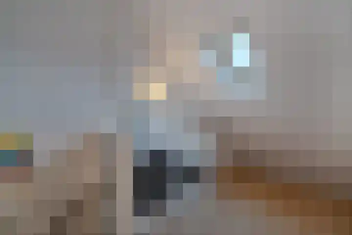 Anna Blamanstraat 14 Alkmaar thumbnail 35