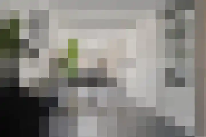 Anna Blamanstraat 14 Dongen thumbnail 13