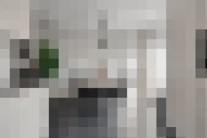 Anna Blamanstraat 14 Dongen thumbnail 16