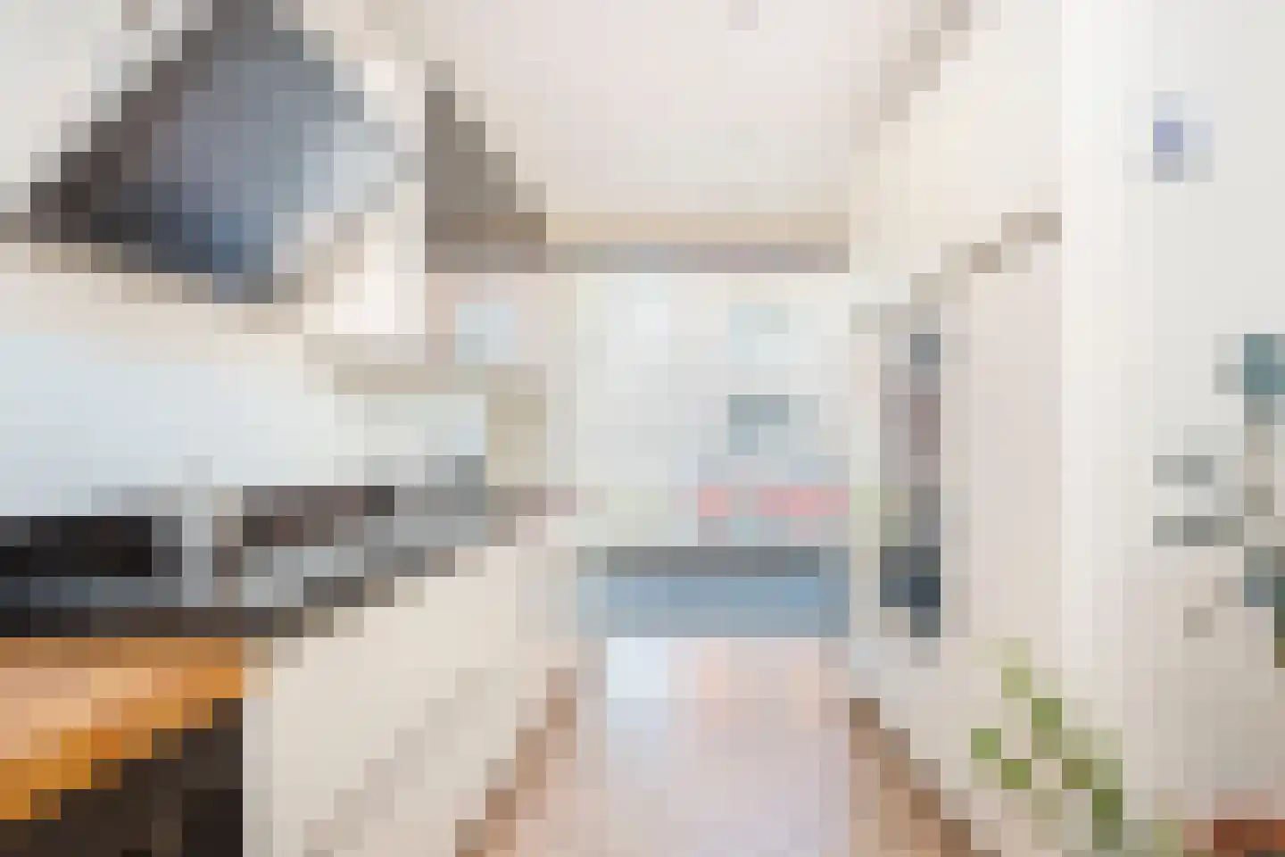 Anna Blamanstraat 14 Utrecht thumbnail 6