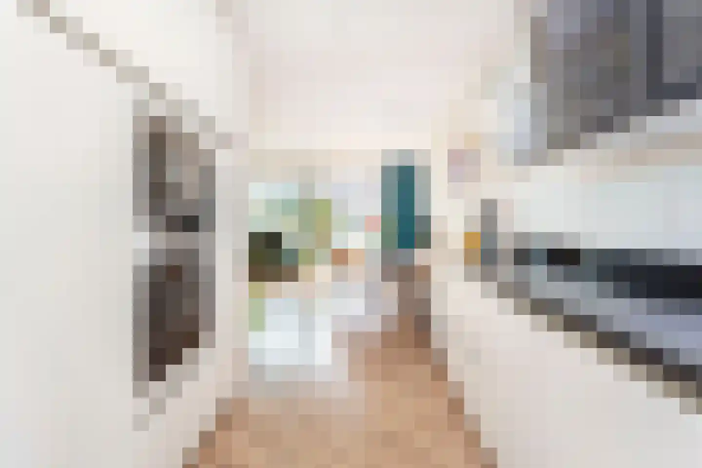 Anna Blamanstraat 14 Utrecht thumbnail 7