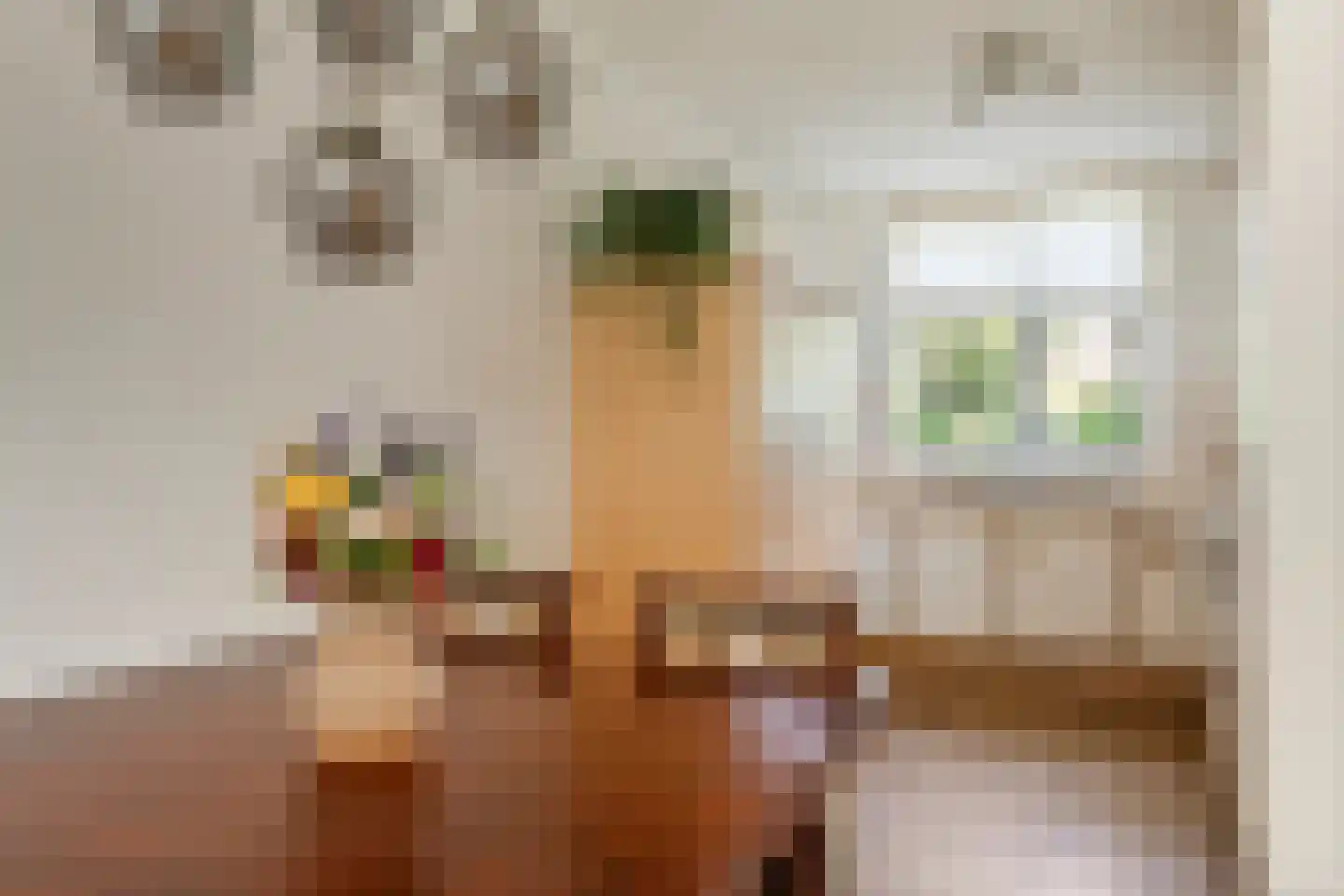 Anna Blamanstraat 16 Tiel thumbnail 15