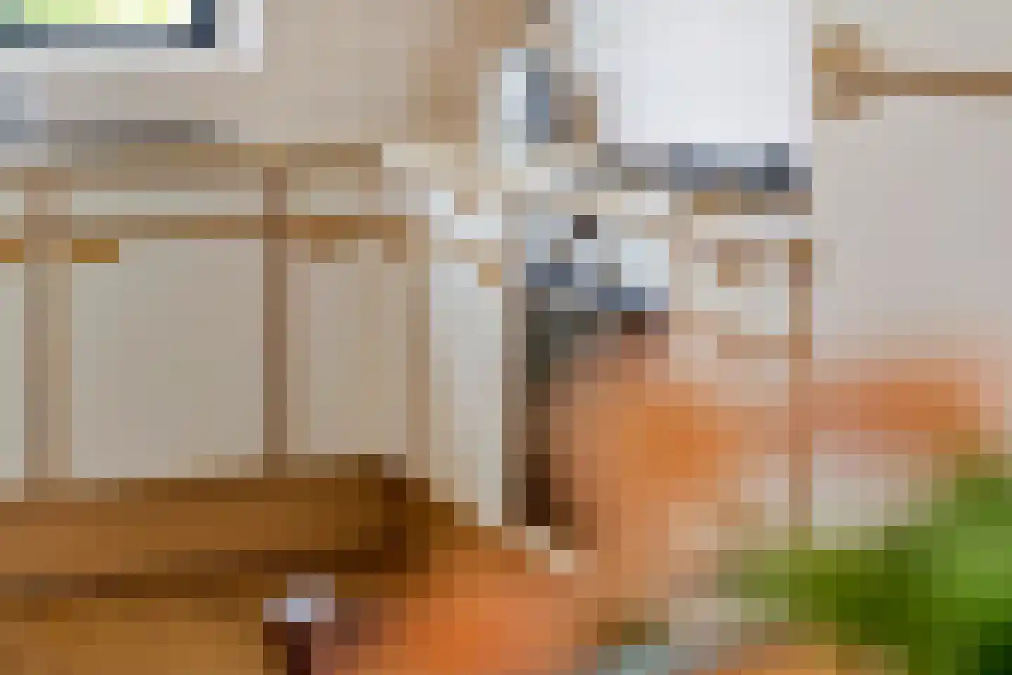 Anna Blamanstraat 16 Tiel thumbnail 16