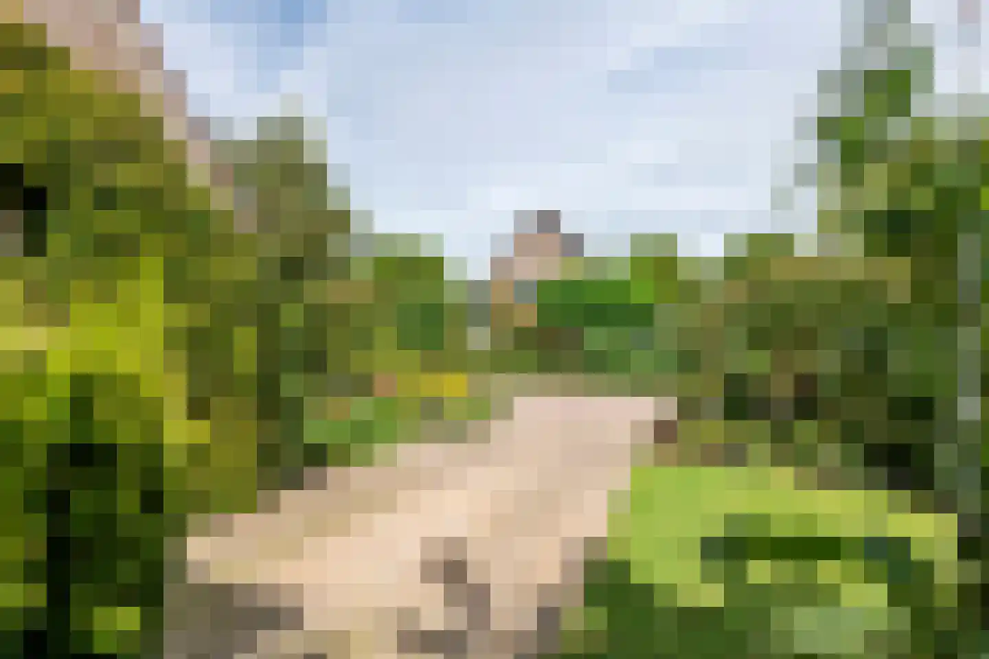 Anna Blamanstraat 16 Tiel thumbnail 27