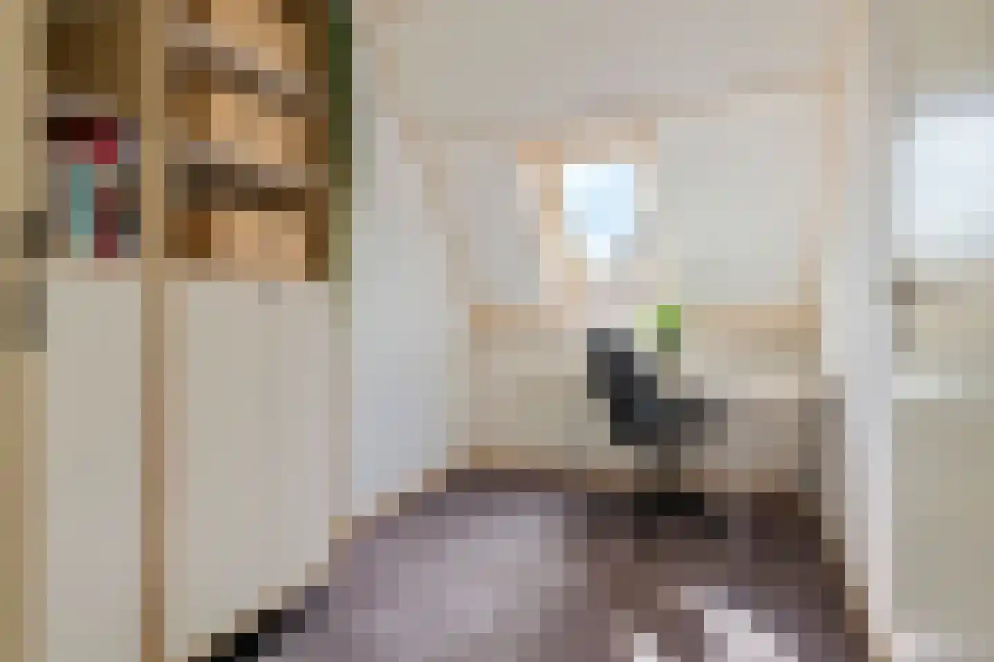 Anna Blamanstraat 16 Tiel thumbnail 34
