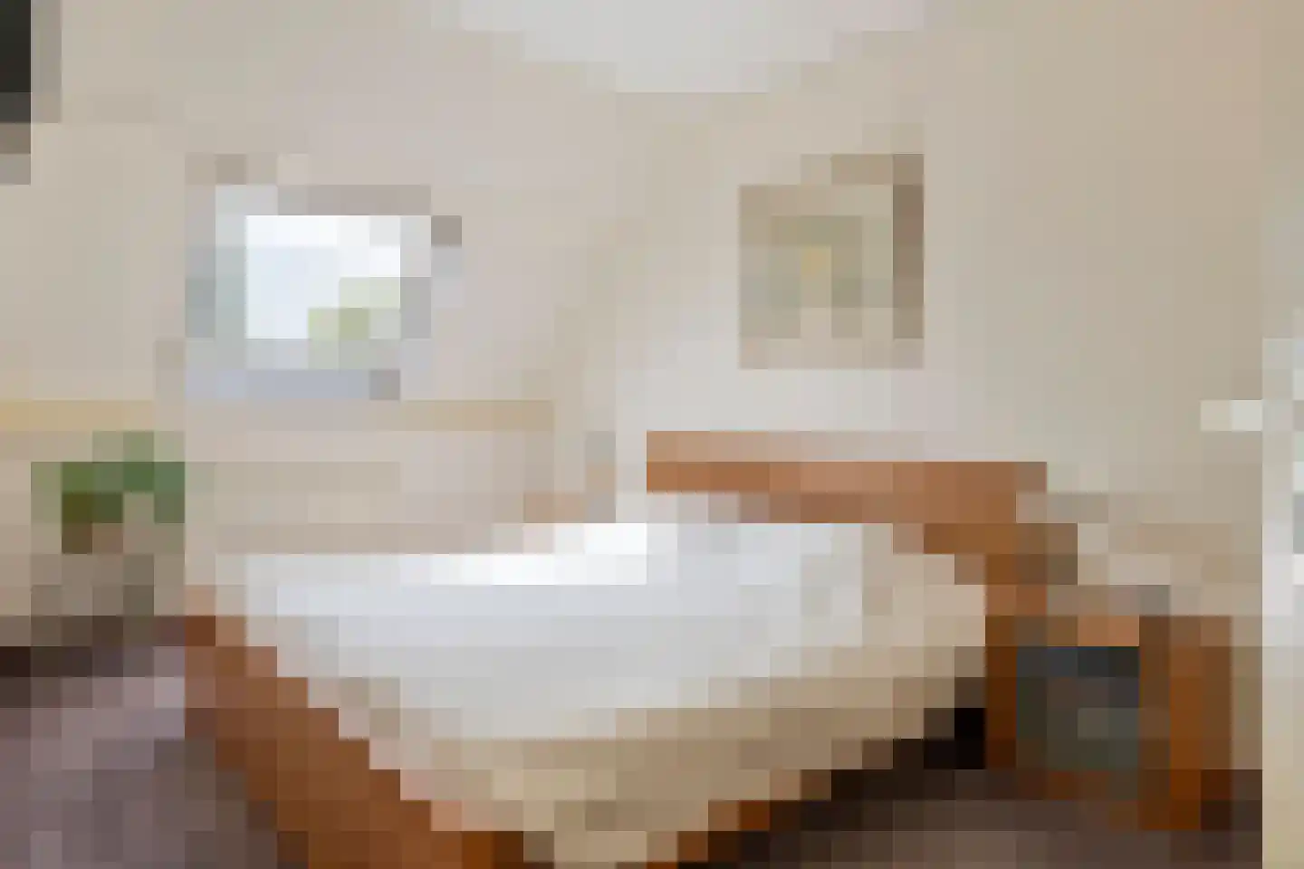 Anna Blamanstraat 16 Tiel thumbnail 35