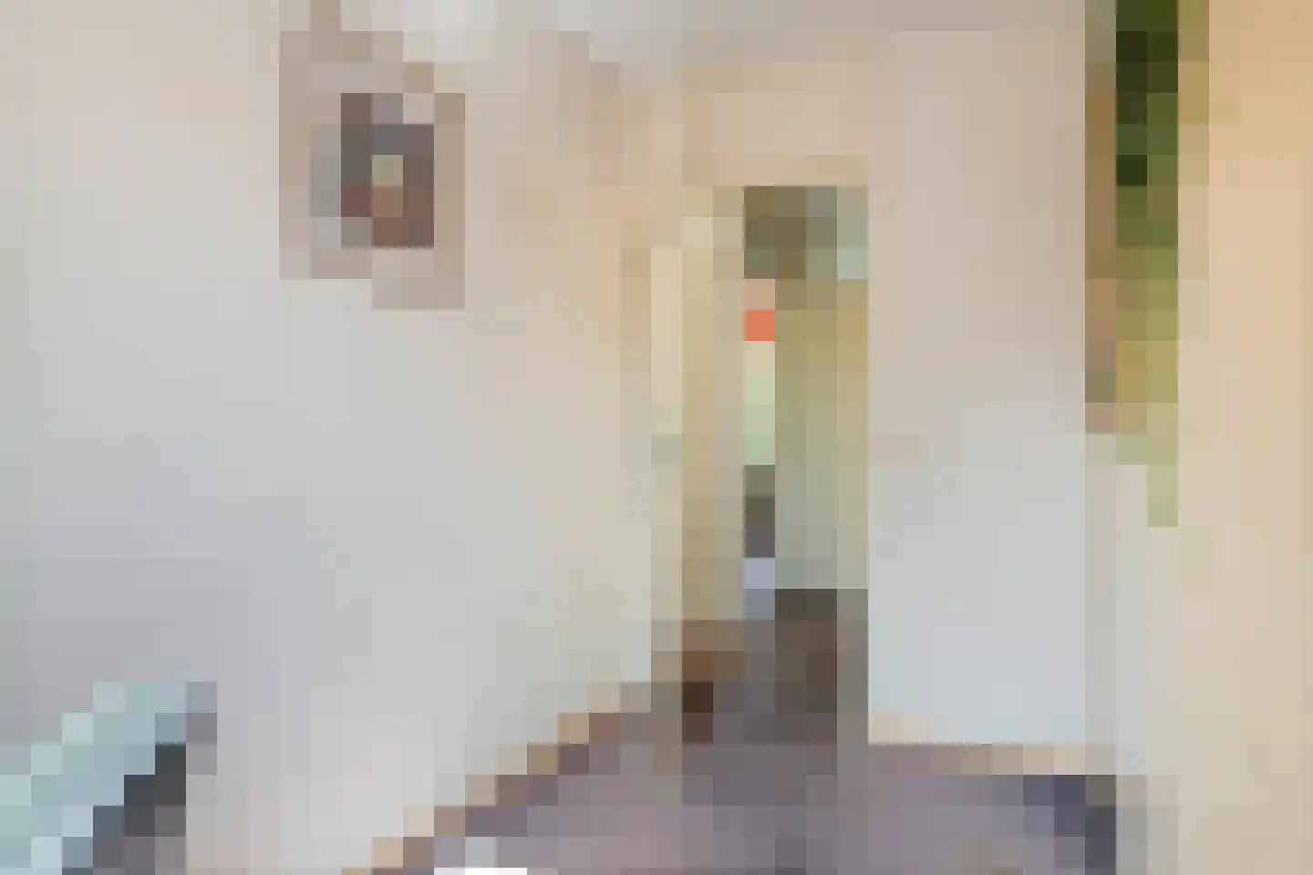 Anna Blamanstraat 16 Tiel thumbnail 36