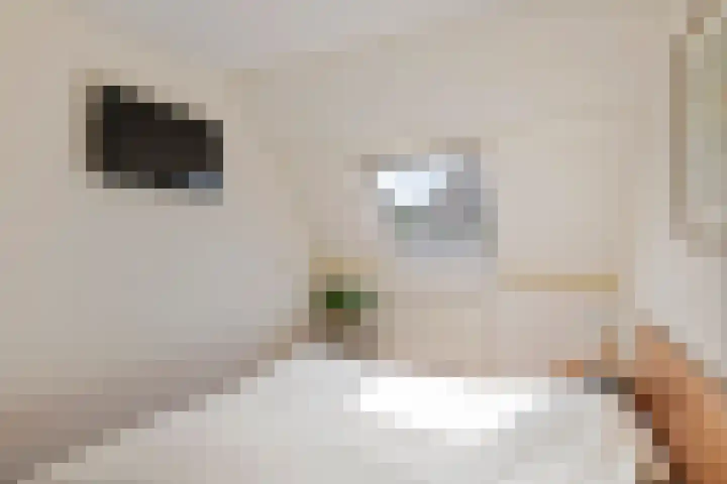 Anna Blamanstraat 16 Tiel thumbnail 38