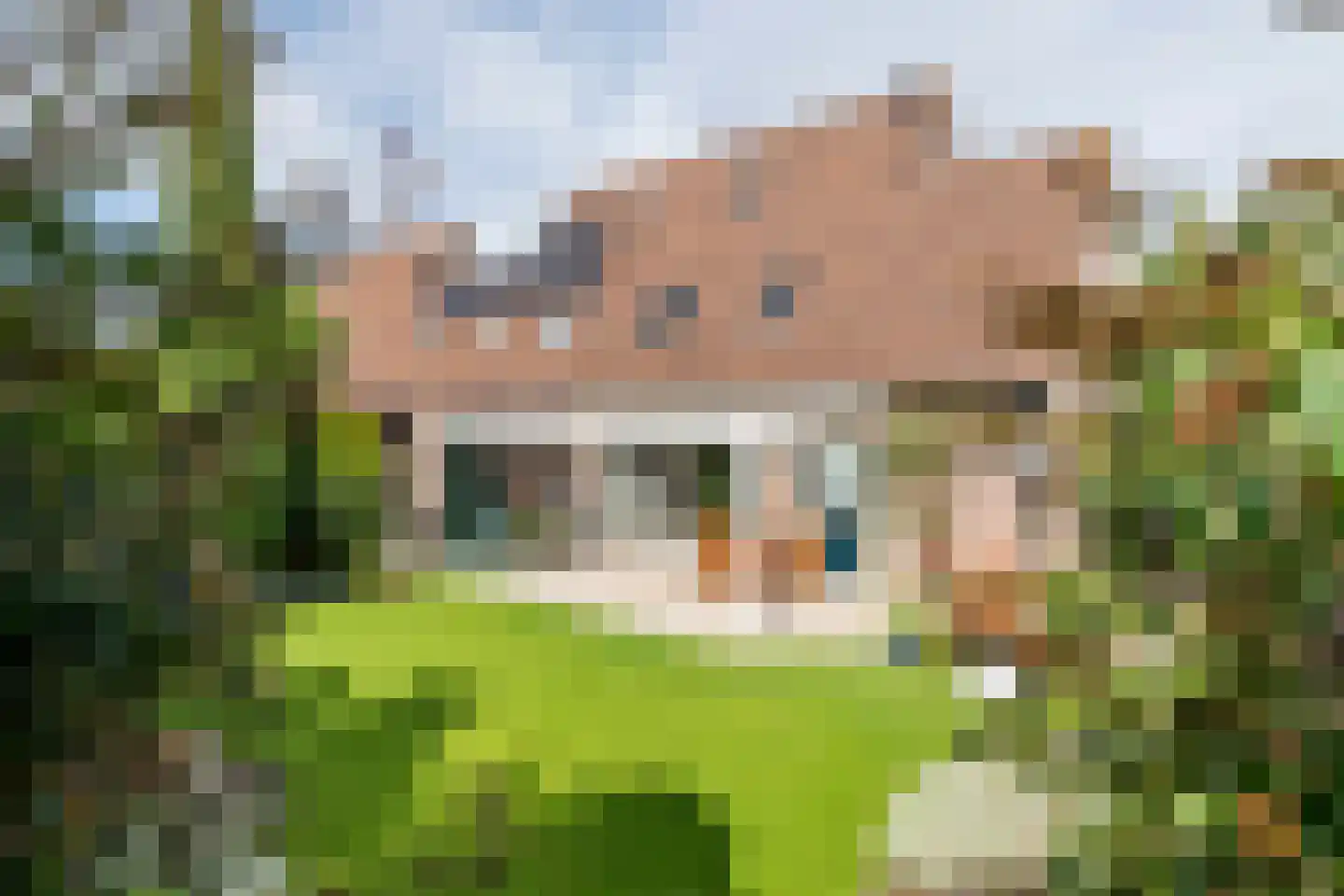 Anna Blamanstraat 16 Tiel thumbnail 4