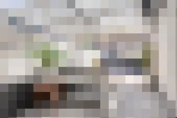 Anna Blamanstraat 19 Rosmalen thumbnail 23