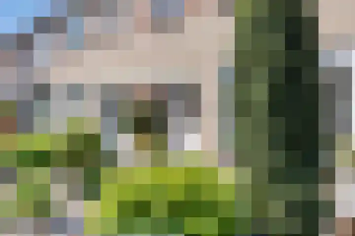 Anna Blamanstraat 19 Rosmalen thumbnail 27
