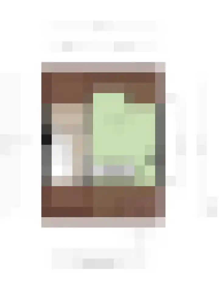 Anna Blamanstraat 19 Rosmalen thumbnail 32