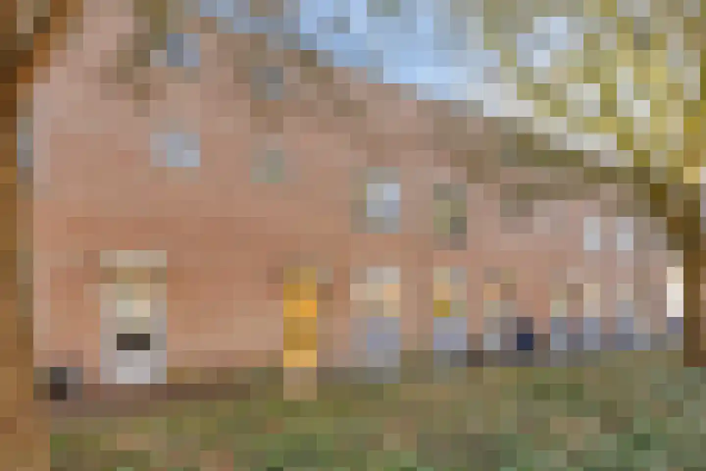 Anna Blamanstraat 25 Hoofddorp thumbnail 6