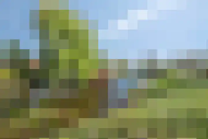 Anna Blamanstraat 29 Rijen thumbnail 27