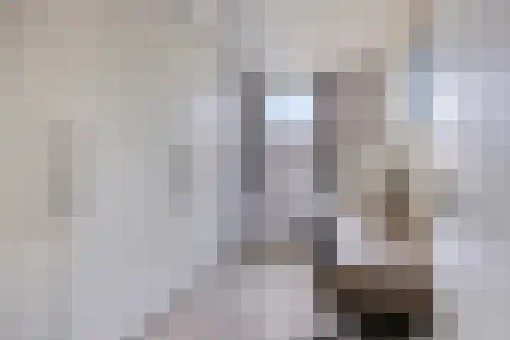 Anna Blamanstraat 3 Rosmalen thumbnail 25