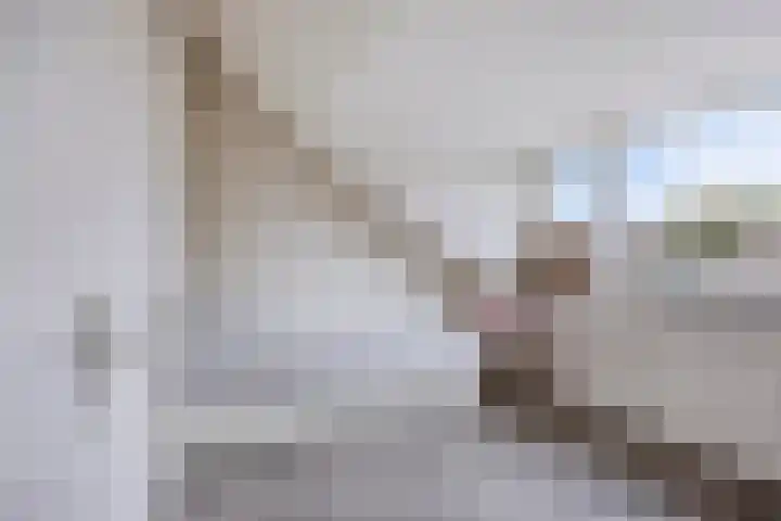 Anna Blamanstraat 3 Rosmalen thumbnail 29