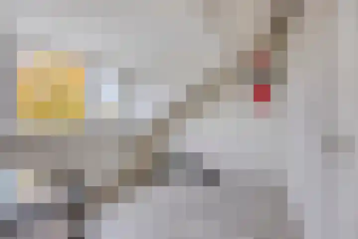 Anna Blamanstraat 3 Rosmalen thumbnail 30