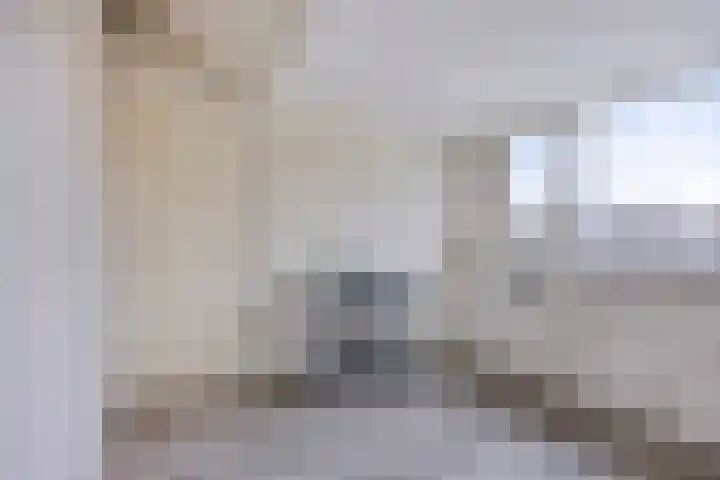 Anna Blamanstraat 3 Rosmalen thumbnail 31