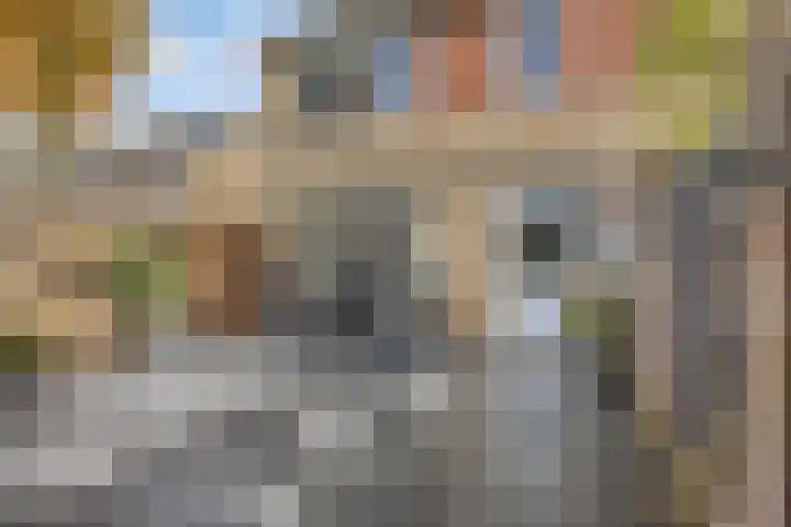 Anna Blamanstraat 3 Rosmalen thumbnail 33