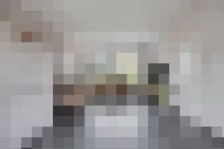 Anna Blamanstraat 3 Rosmalen thumbnail 6
