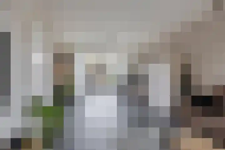 Anna Blamanstraat 3 Rosmalen thumbnail 8