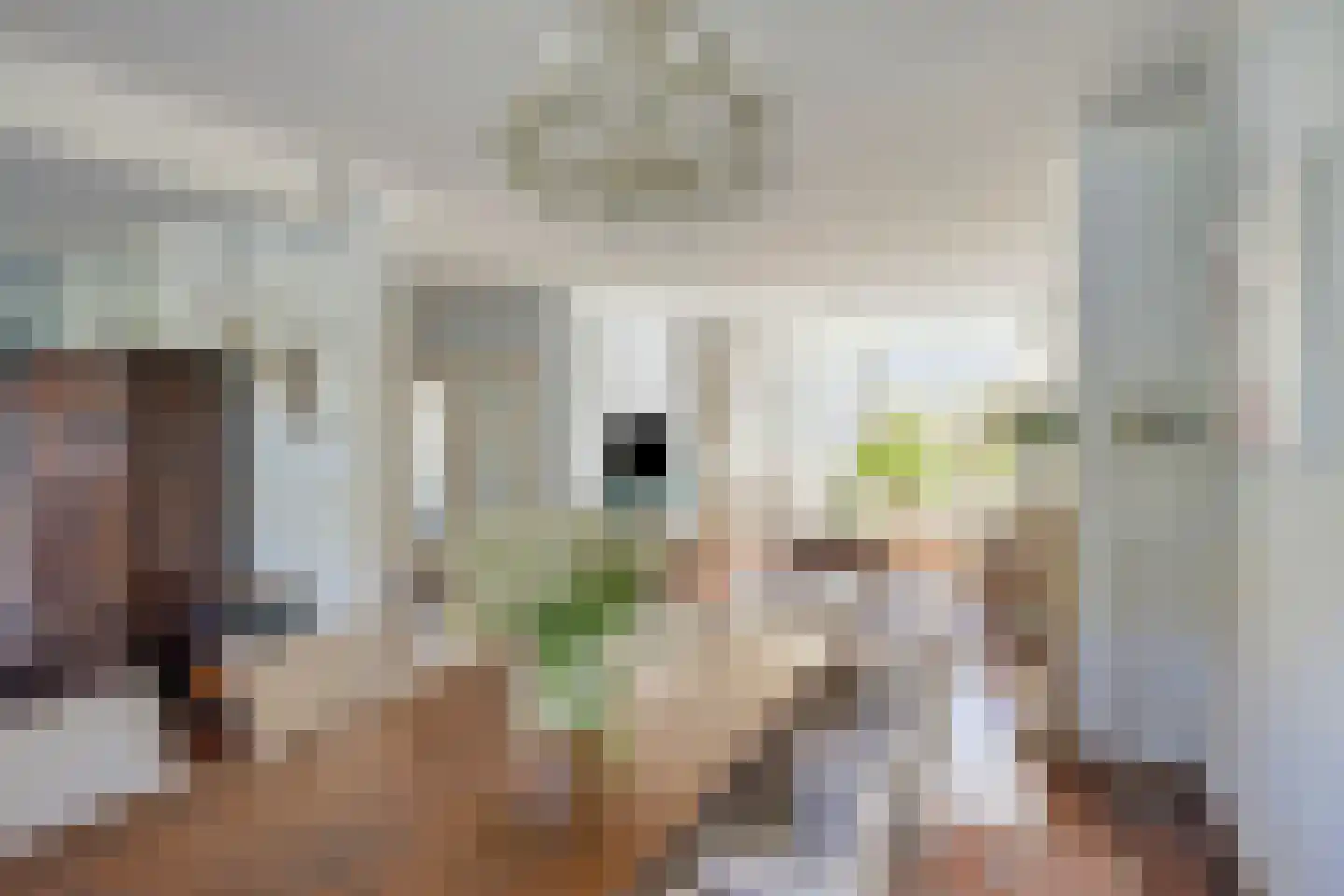 Anna Blamanstraat 32 Rosmalen thumbnail 10