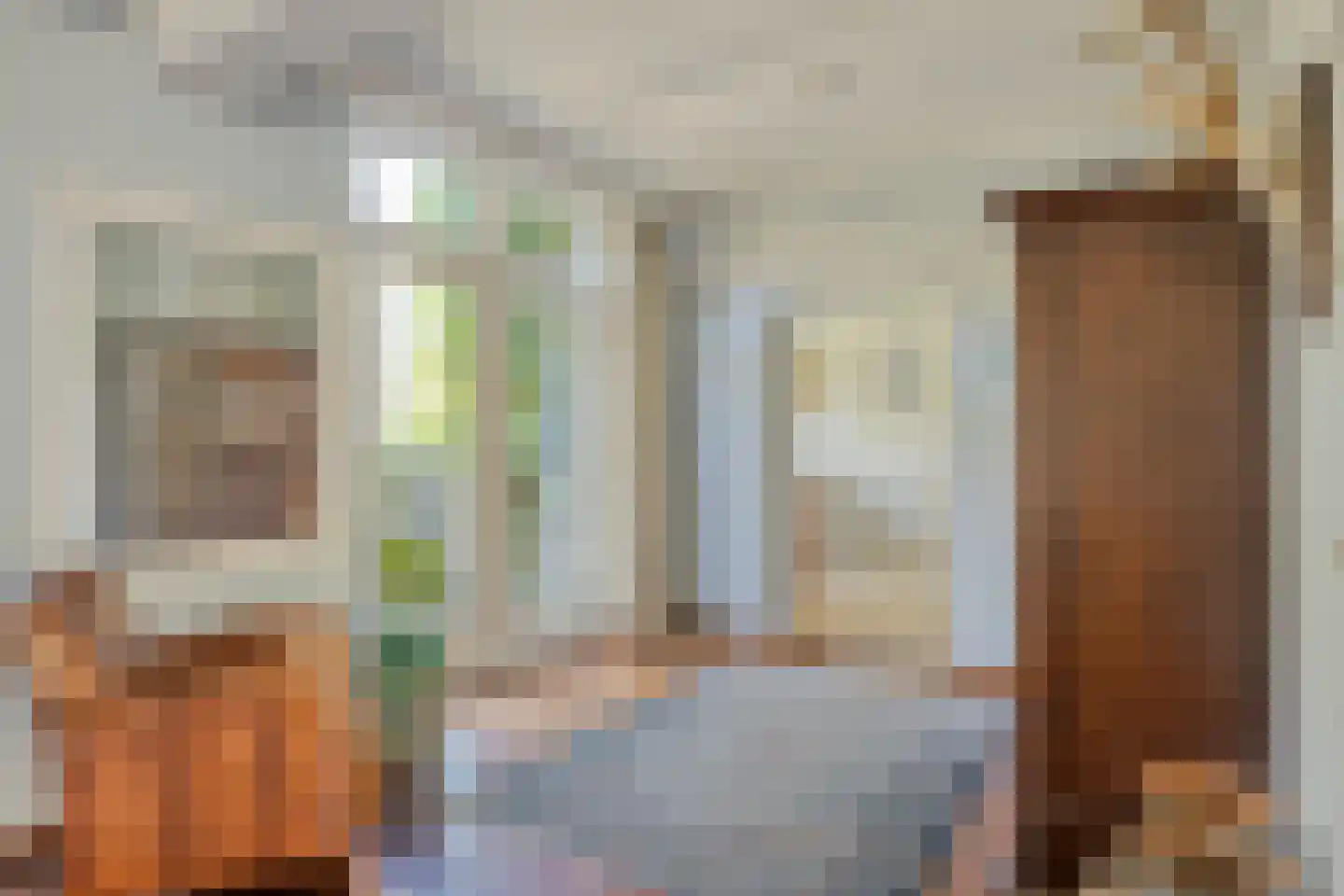 Anna Blamanstraat 32 Rosmalen thumbnail 13