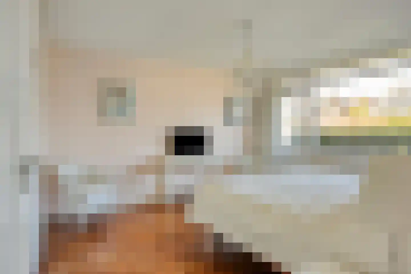 Anna Blamanstraat 32 Rosmalen thumbnail 25