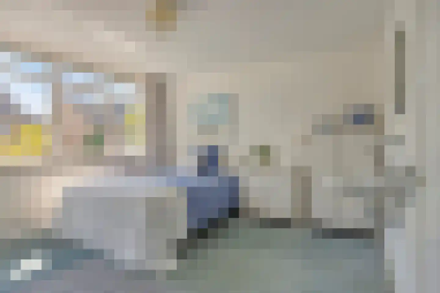 Anna Blamanstraat 32 Rosmalen thumbnail 29