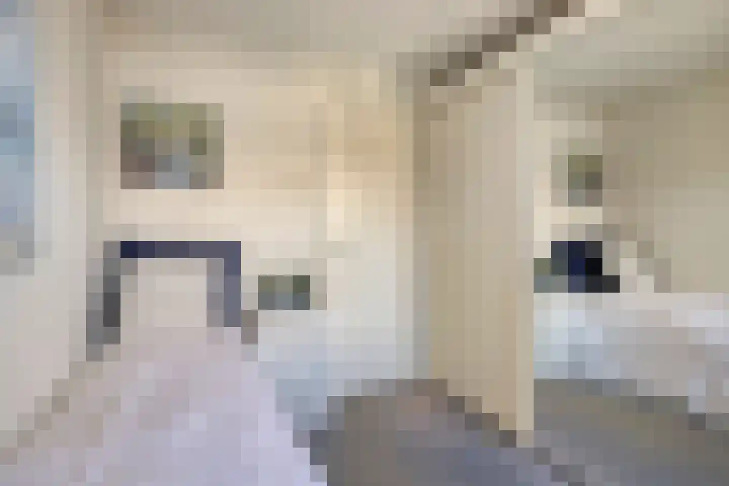 Anna Blamanstraat 32 Rosmalen thumbnail 33