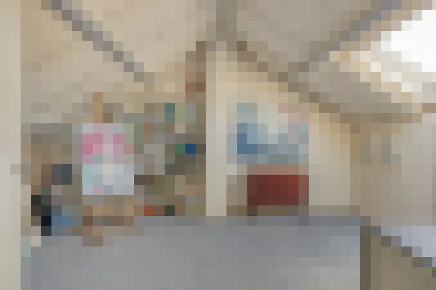 Anna Blamanstraat 32 Rosmalen thumbnail 38