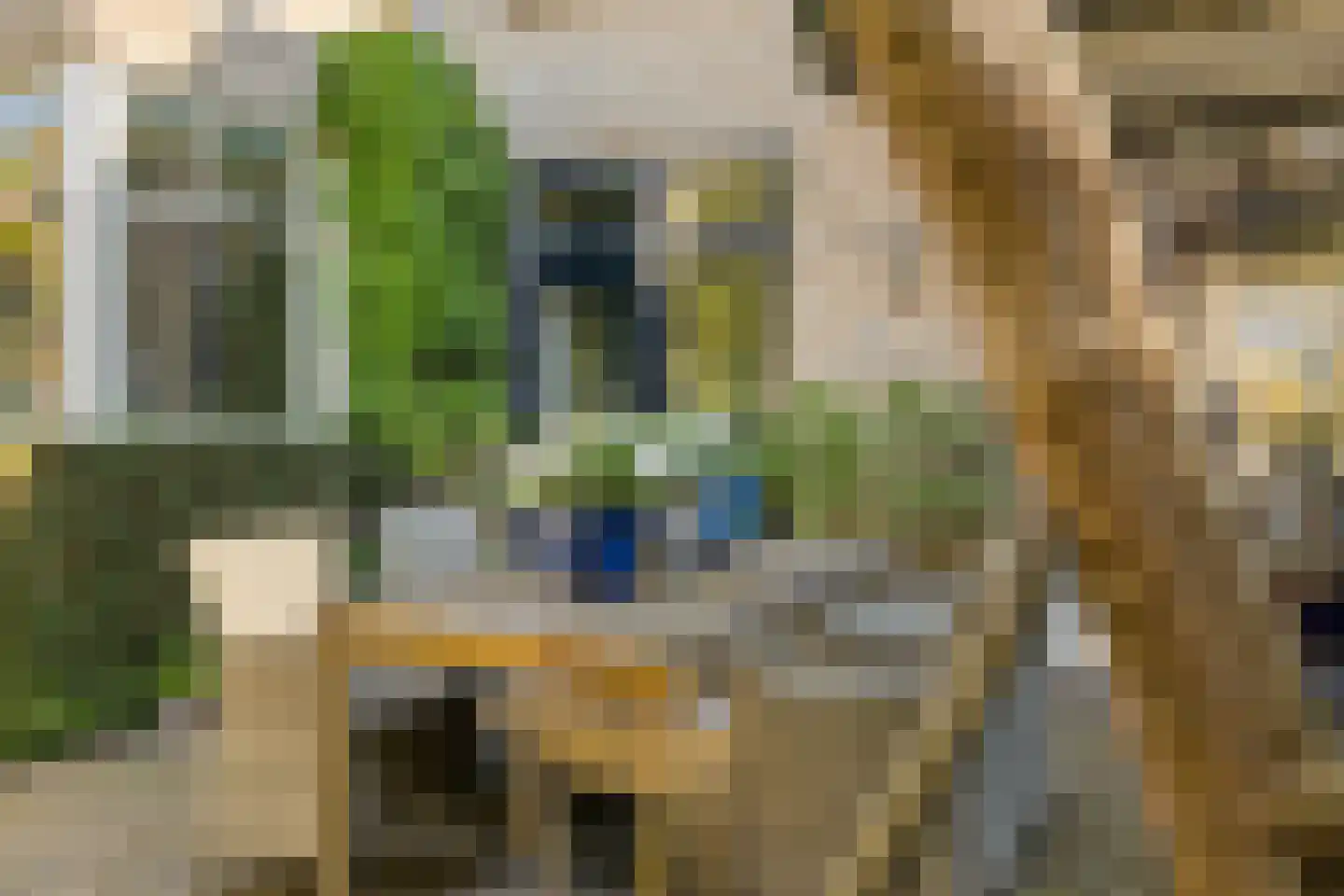 Anna Blamanstraat 32 Rosmalen thumbnail 43