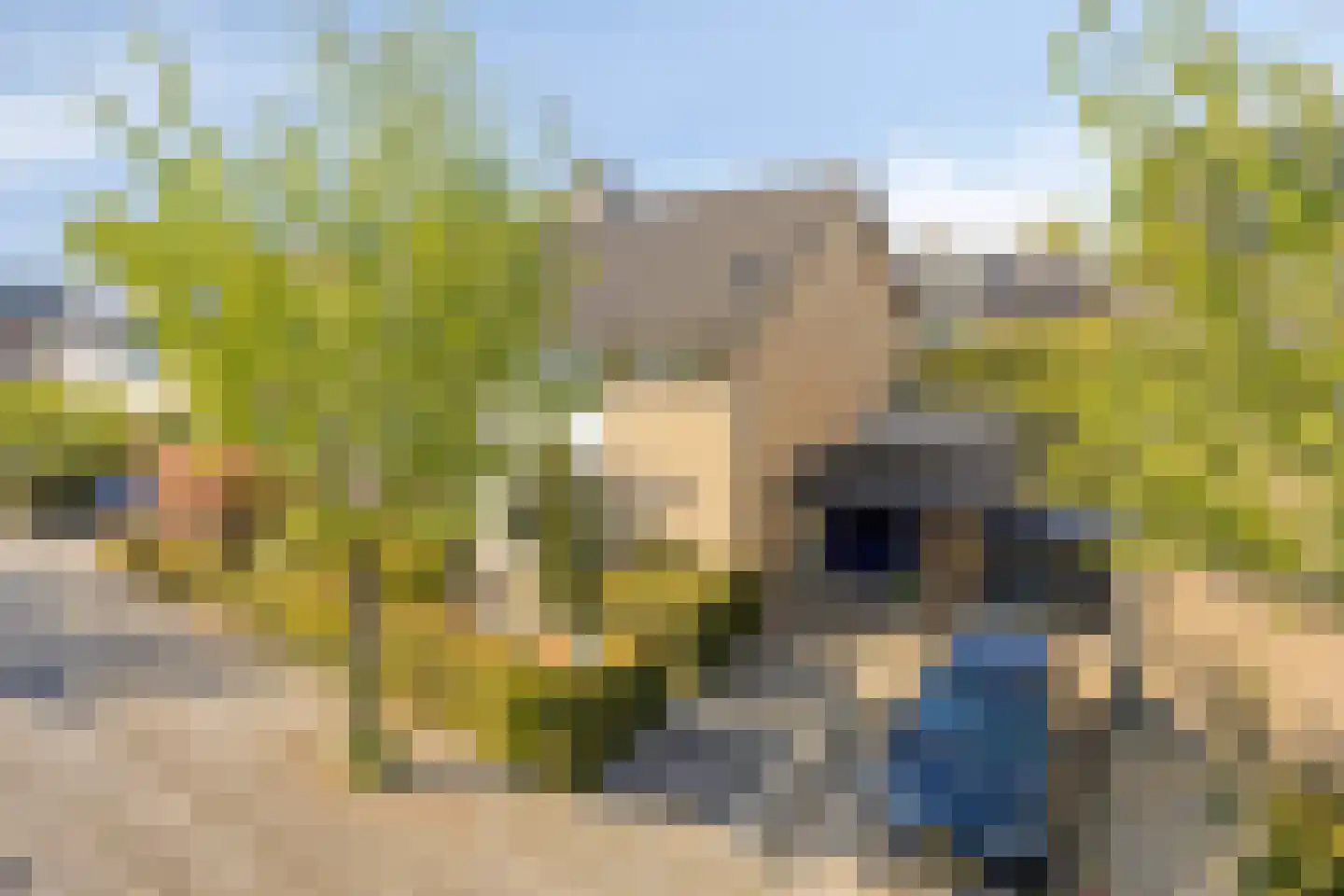 Anna Blamanstraat 32 Rosmalen thumbnail 47